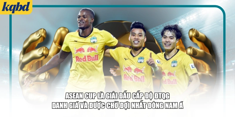 ASEAN Cup là giải đấu cấp độ ĐTQG danh giá và được chờ đợi nhất Đông Nam Á